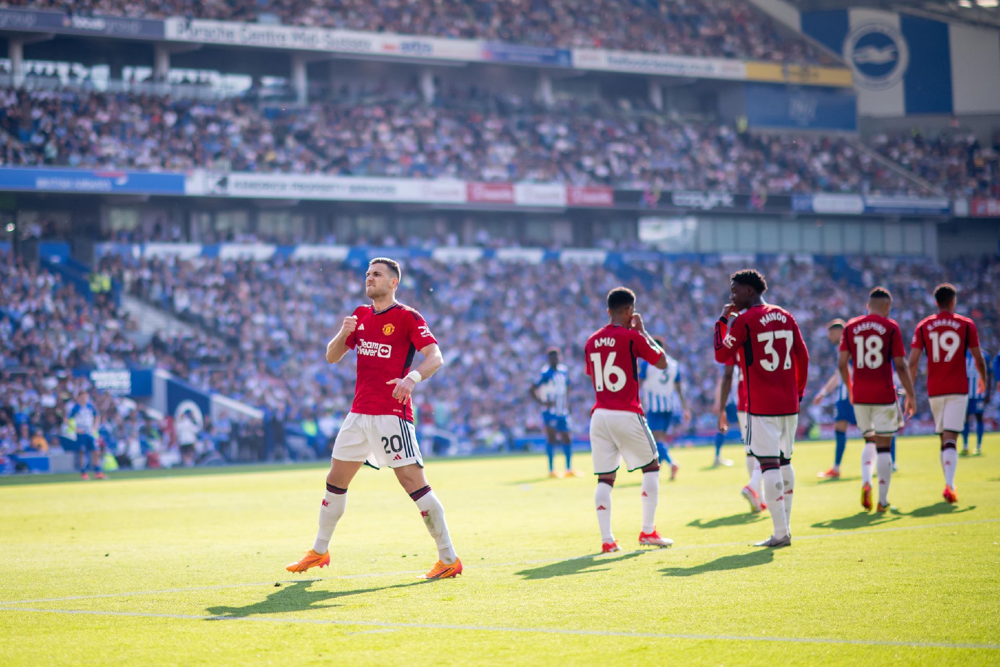 佩林卡身上 佩林卡身上